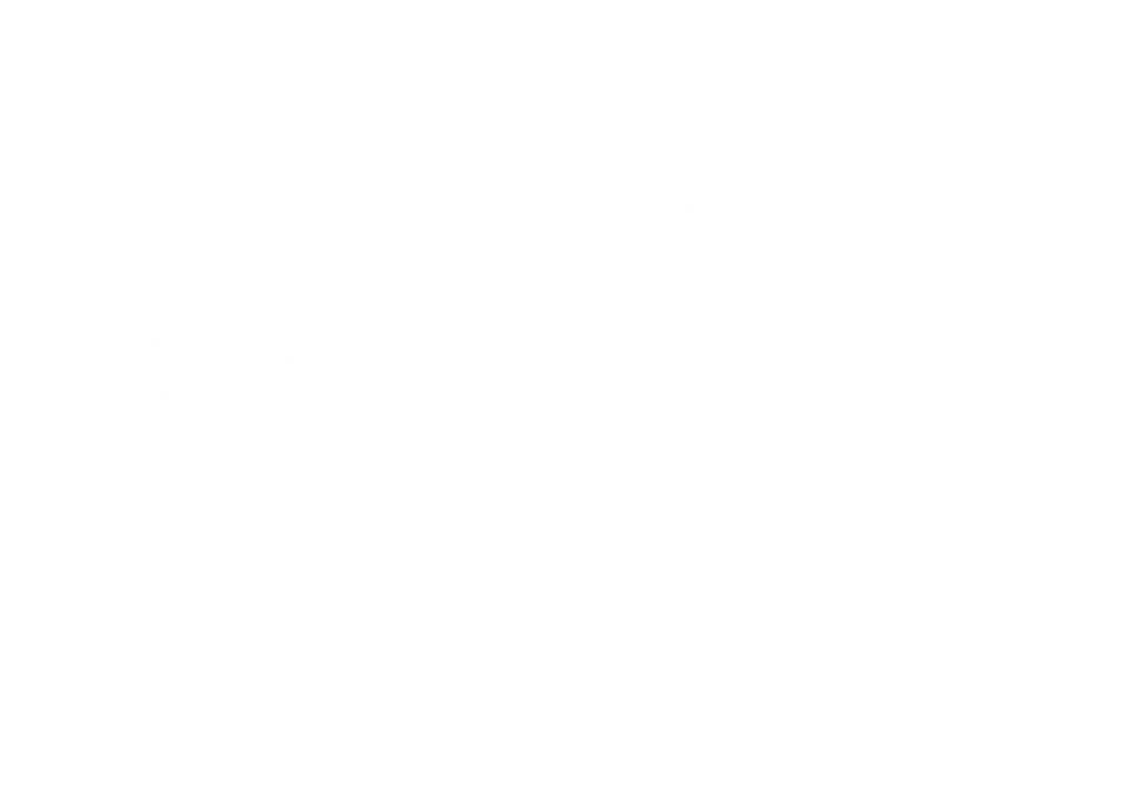 Blondino tipographie calligraphie